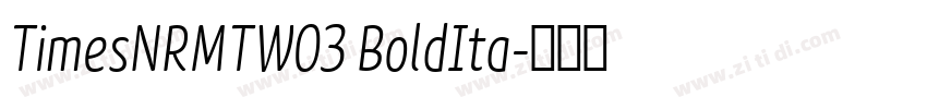 TimesNRMTW03 BoldIta字体转换